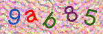 capcha